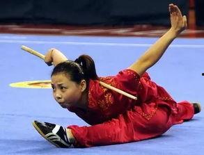 成人竞技武术视频教程