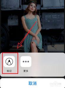 成人头纱教程视频大全