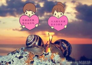 蜗牛变成人的故事视频,一段奇幻的人性化之旅