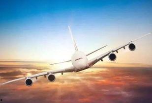 成人自制飞机视频大全集