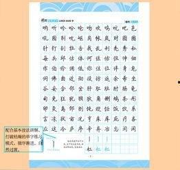 学练字成人 教程视频,轻松掌握书法艺术